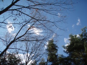 冬の青空