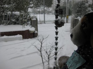 鳥取県倉吉市は雪が降っています。