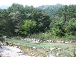 紅葉はまだまだ先ですが、風と空気は秋の匂いがします。