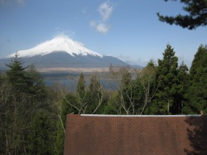 私たちのお部屋から見えた景色！