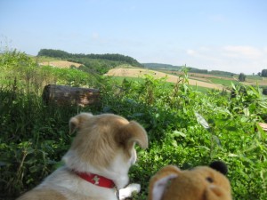 北海道の大地を眺めるペンションの”こちゃ”くんとステ